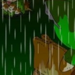 公園観察日記第6話「住居」