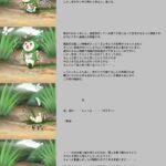 実装石観察動画