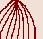 ドンキホーテ・トシアキンゴ