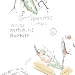 エビジソ骨酒