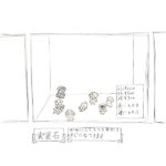 実装石を飼おうと言う人間