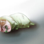 汗と涙の蛆実装