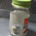 こんな感じかな？瓶詰実装