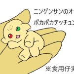 ニンゲンサンのオテテ ポカポカテッチュン♪