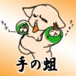 手の蛆